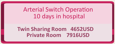 Top Arterial Switch Operation In Bangalore India Top Arterial Switch Operation In Bangalore India